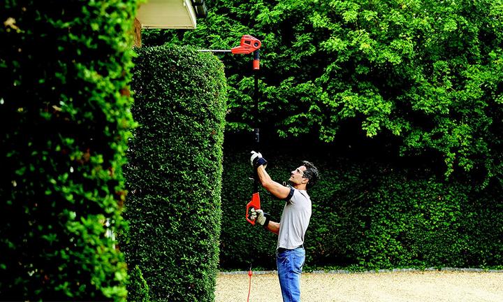 Actual product image Black & Decker electric hedge trimmer (Electric hedge trimmer)