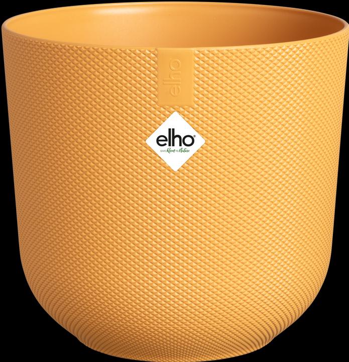 Actual product image Elho Jazz (26 cm)