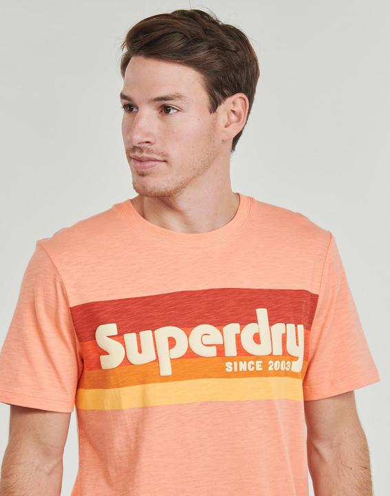Produktbild Superdry Lässiges Terrain T-Shirt mit Streifen und Logo (M)