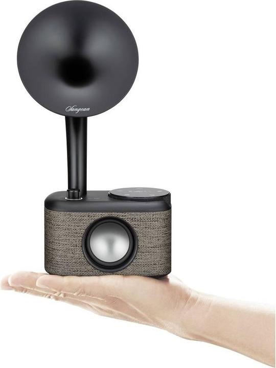 Actual product image Sangean CP 100D (DAB+, FM, Bluetooth)