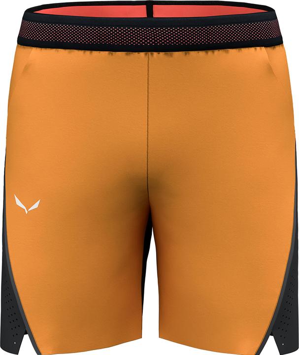 Immagine prodotto Salewa PEDROC 2 DST Herren SHORTS (L)