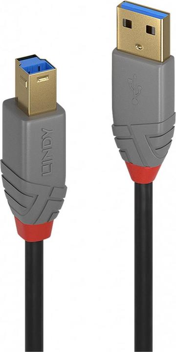 Actual product image Lindy USB/A-USB/B M-M (0.50 m, USB 3.0)