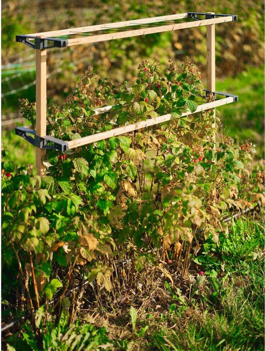 Actual product image Gusta Garden Berry Buddy (93 cm, 11.90 cm)
