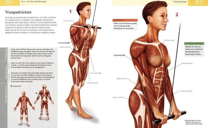 Actual product image Das Anatomie-Buch der Fitness (German, Ken Ashwell, 2014)