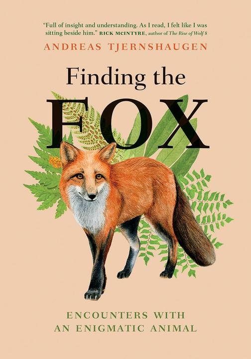 Actual product image Finding the Fox (English, Andreas Tjernshaugen, Lucy Moffatt, 2024)