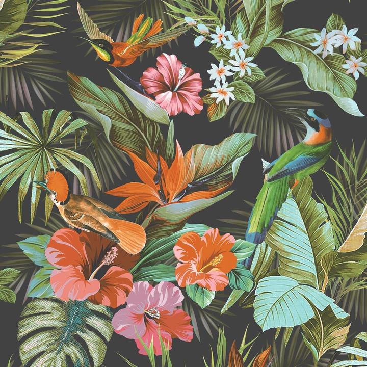 Actual product image Rasch Paradise Birds Heavyweight Vinyl Textured Wallpaper