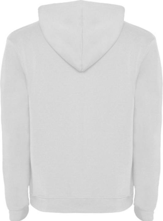 Actual product image Alpinia Mens Urban Hoodie (S)