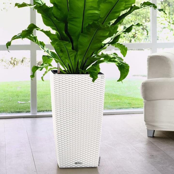 Produktbild Lechuza Cubico Cottage (29.50 cm)