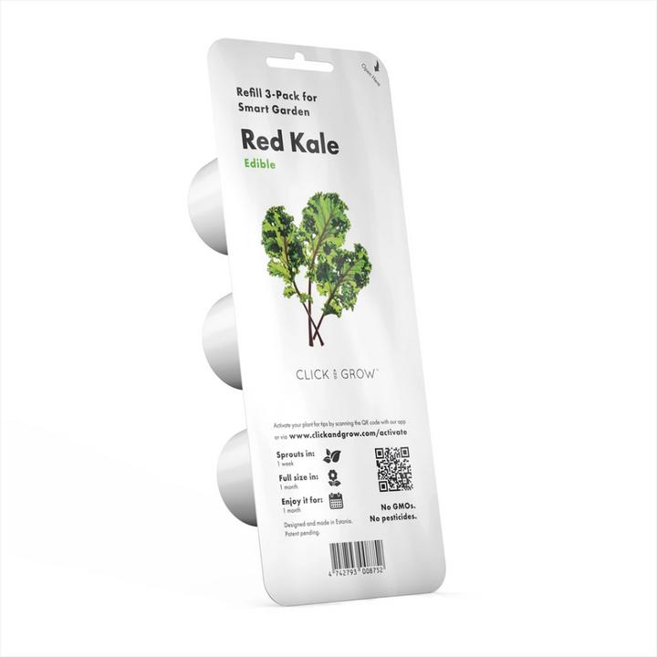 Actual product image Click and Grow Red cabbage (Vegetable seeds)