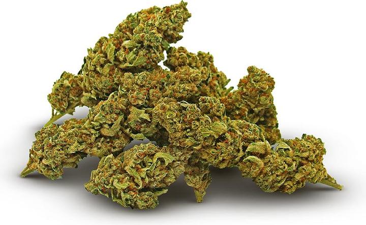 Actual product image Cannaflora white ice (6.50 g, Indoor)