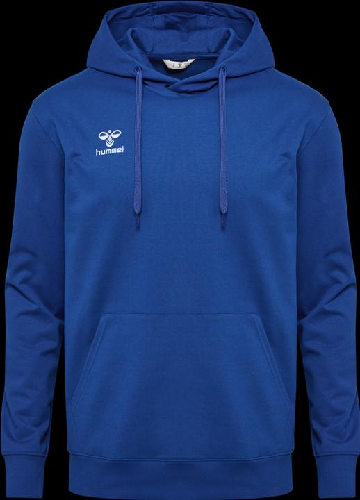 Actual product image hummel HMLGO 2.0 HOODIE (XL)