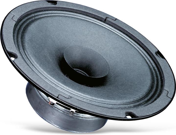 Actual product image Visaton Bg 17