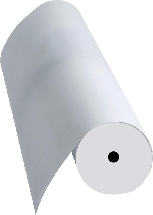 Produktbild Franken Flipchartpapier-Rolle, blanko, 600 mm x 35 m weiss, chlorfrei gebleicht, 80 g/qm, Universallochung