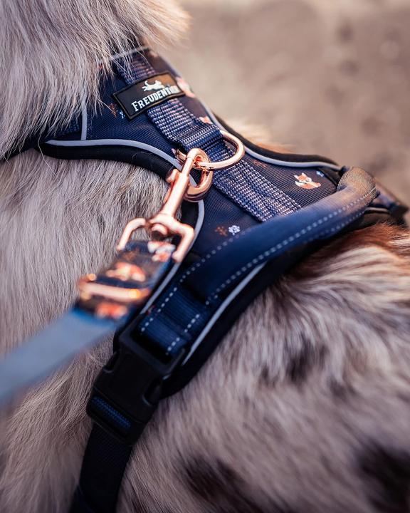 Produktbild Freudentier Atmungsaktives Hundegeschirr (L, Hund, Allgemein)