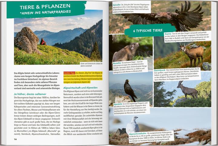 Produktbild OUTDOOR GUIDE Reiseführer Allgäu (Deutsch, Barbara Kettl-Römer, 2024)