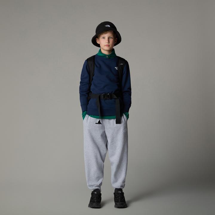 Actual product image North Face Teen Redbox Regular Crew (L)
