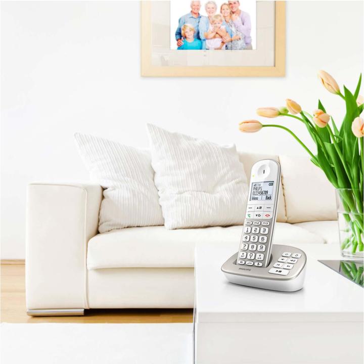 Immagine prodotto Philips Xl4951s/38
