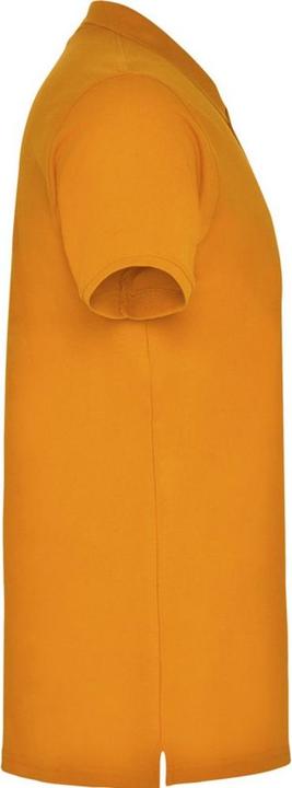 Actual product image Alpinia Mens Star Short-Sleeved Polo Shirt (L)