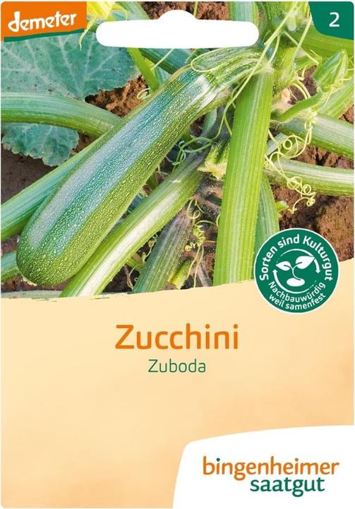 Produktbild Bingenheimer Saatgut Zucchini Zuboda
