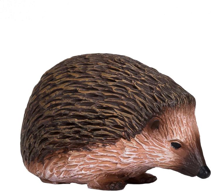 Actual product image Animal Planet Echidna