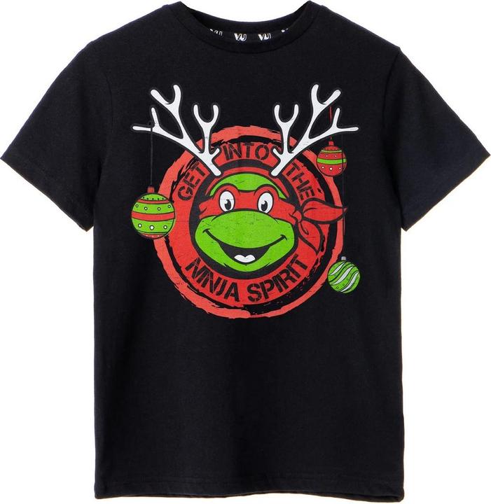 Actual product image Teenage Mutant NT Boys Get Into The Ninja Spirit T-Shirt (158, 164)