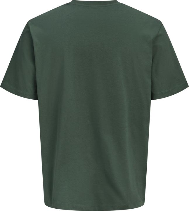 Actual product image Jack & Jones Jorbradley Herbarium Tee Ss C.N Stmss25 (S)