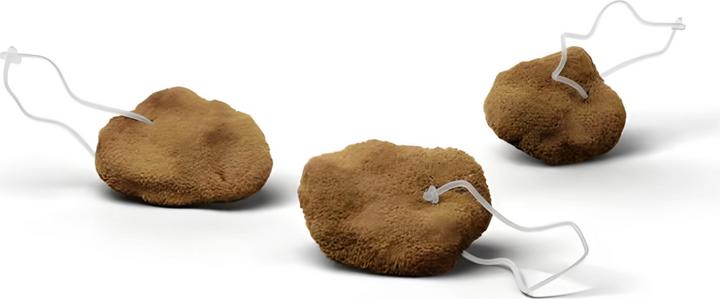 Image du produit Hera Organics Kit de démarrage éponges menstruelles taille S (3 x, S)
