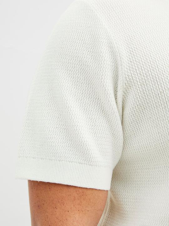 Actual product image Jack & Jones Plus Size Poloshirt Poloshirt (6XL)