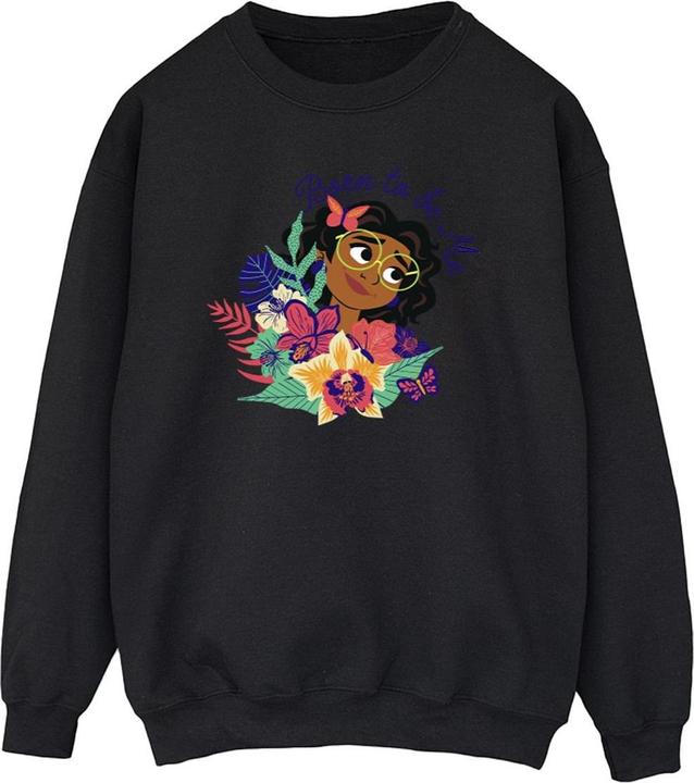 Image du produit Disney - Sweat ENCANTO BORN TO BE ME - Homme (S)