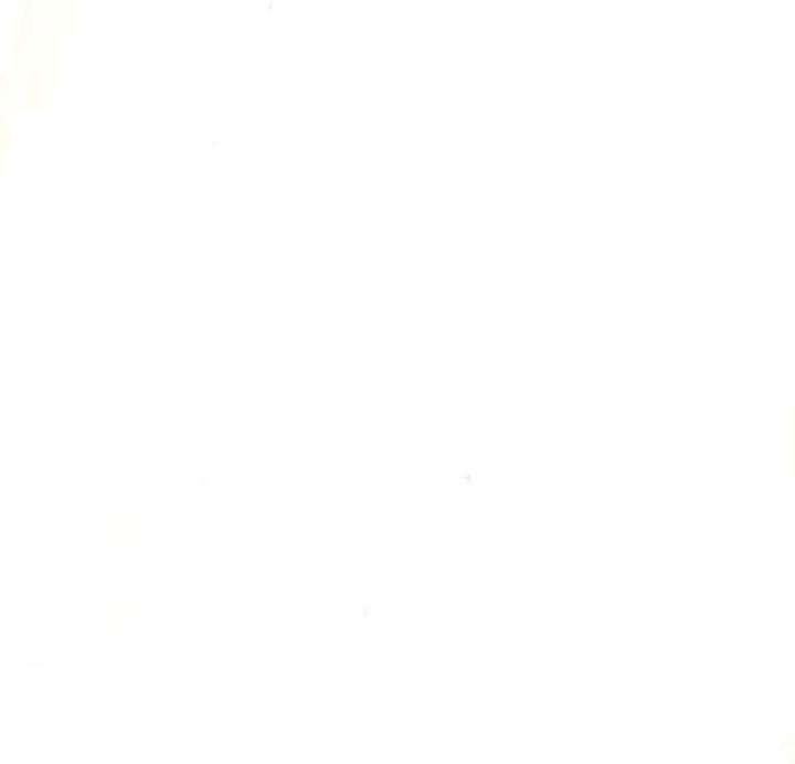 Actual product image Hobbyring Encaustic wax blocks set of 16, transparent