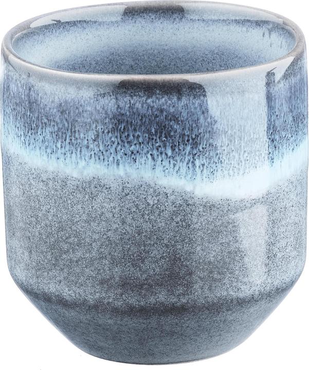 Actual product image Björn Genesis (150 ml, 6 x)