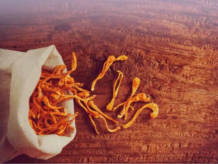 Produktbild Zimmerli Adaptogene Cordyceps Kapseln (BIO) 50 Kapseln (1 Stück, Kapseln, 25 g)