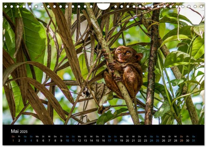 Actual product image Philippinen Foto Wandkalender 2025 (Wandkalender 2025 DIN A4 quer), Monatskalender (A4)