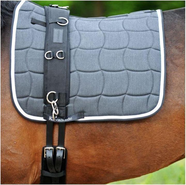 Actual product image Kavalkade Horse lunging strap with padding