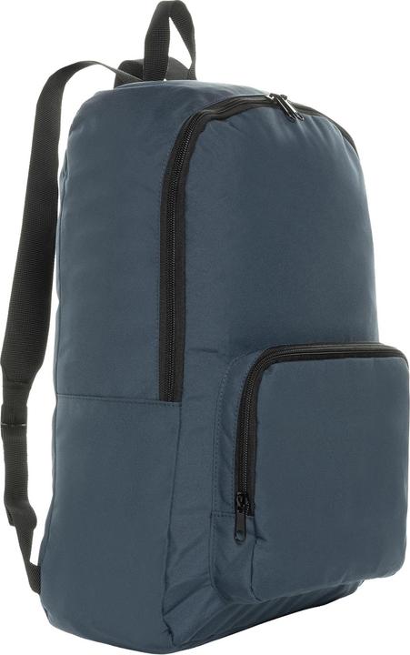 Actual product image Xd Collection Dillon Foldable Aware Backpack