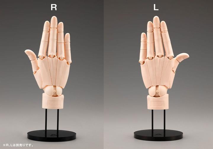 Actual product image Kotobukiya Takahiro Kagami PVC Artist Support Item Hand 1/1 Model/R Pale Orange 21 cm
