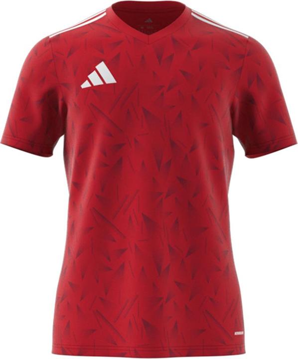adidas Team Icon 25 Trikot