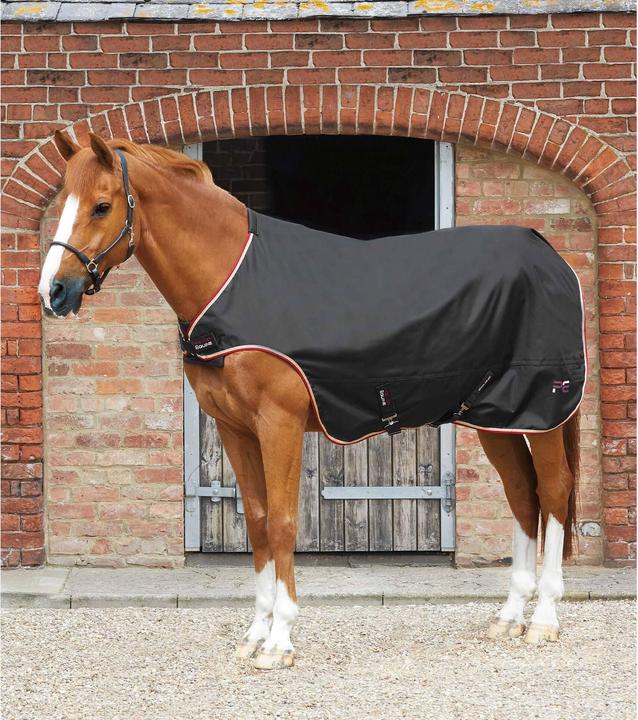 Immagine prodotto Premier Equine 100 g (152 cm)
