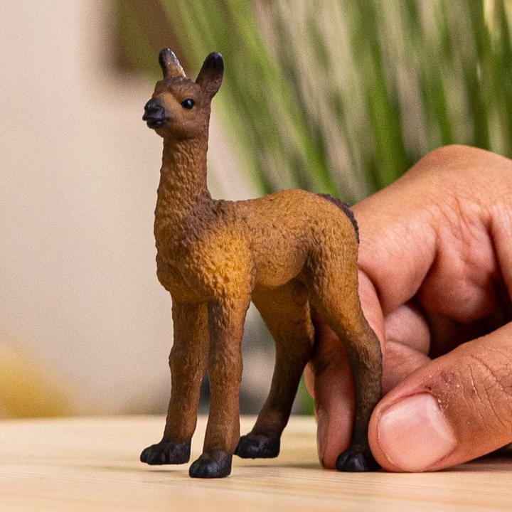 Immagine prodotto Schleich Puledro di lama