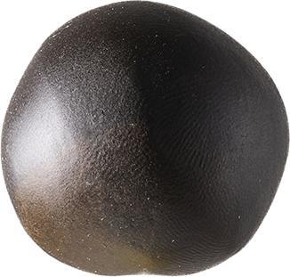 Produktbild Lama Weed Herba Select Trichoselect-E Black Gold (5 g, Outdoor)