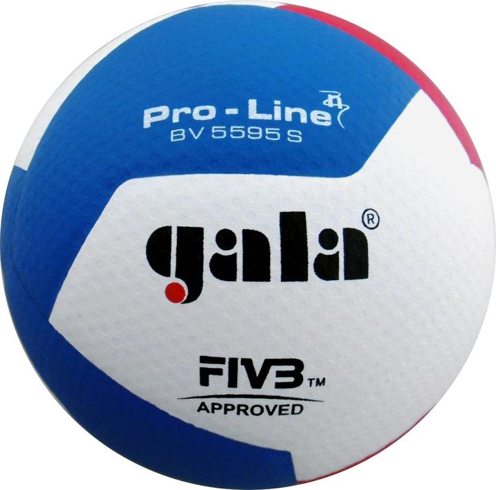 Gala Volleyball Pro-Line BV5595S