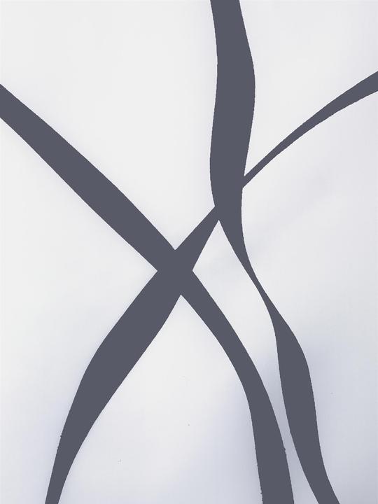 Image du produit spirella Ruban (240 x 180 cm)