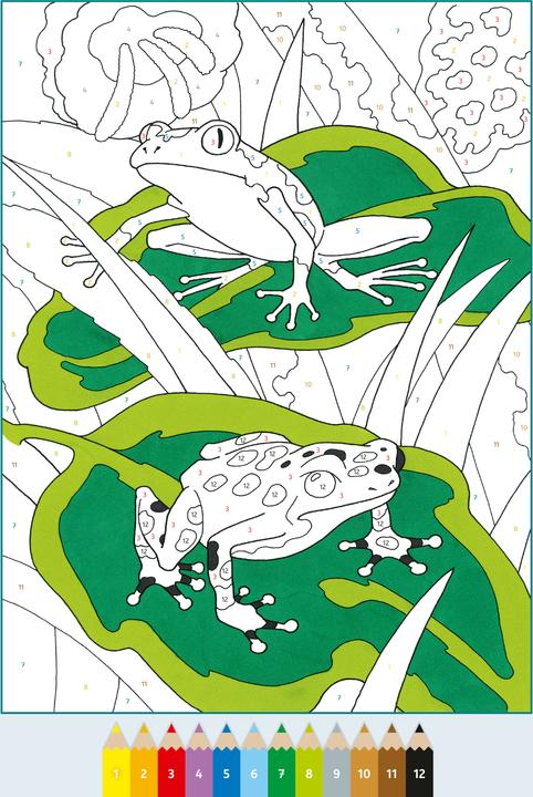 Image du produit Ravensburger Album de coloriage Malen nach Zahlen