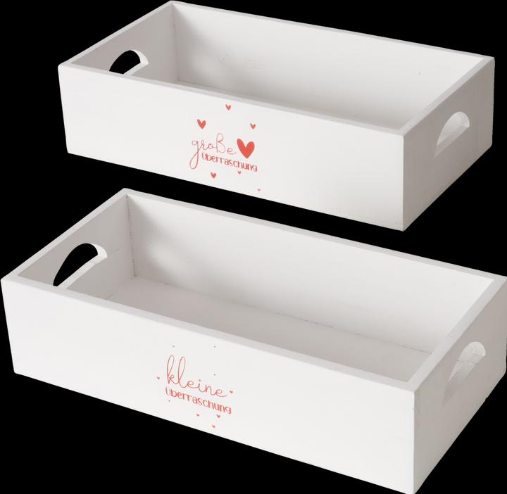 Actual product image Boltze Home Surprise