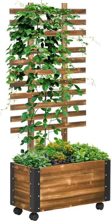 Actual product image Jamb Raised bed with climbing aid
