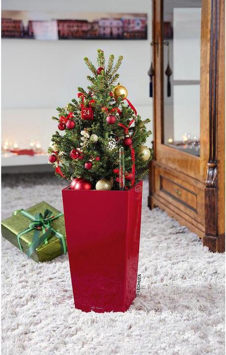 Actual product image Lechuza Planter Maxi cubi Red (14 cm)