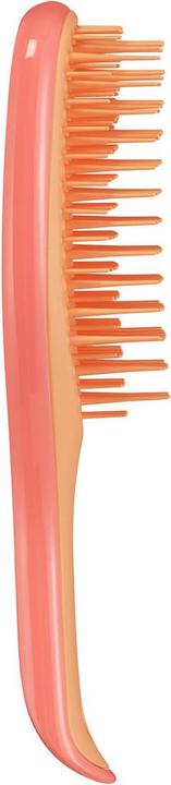 Produktbild Tangle Teezer Wet Detangler Mini