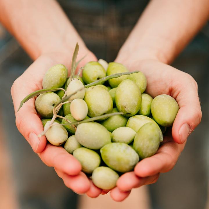 Image du produit Ólixir Huile d'olive vierge extra Bio (500 ml)