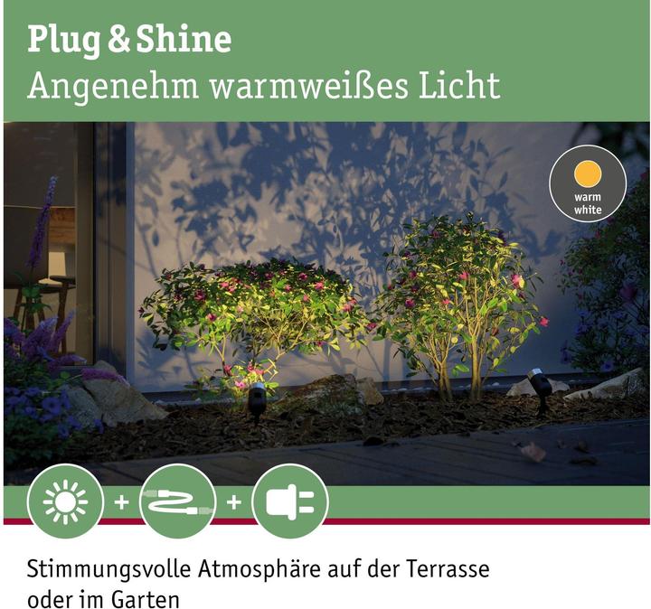 Actual product image Paulmann Plug & Shine Pike (370 lm, IP65)