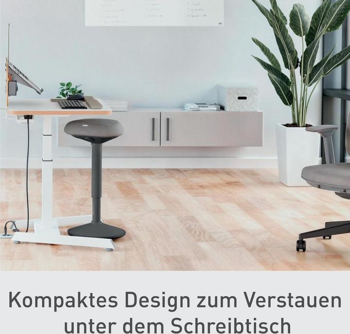 Actual product image Leitz Ergo Active